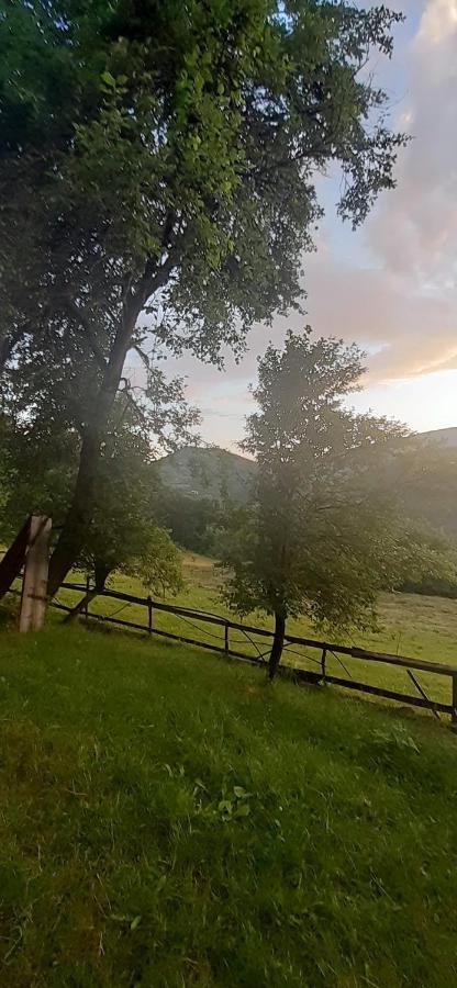 Kuca Za Odmor Kalina Villa Mokra Gora Exterior photo